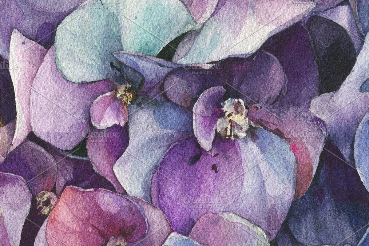 Watercolor violet Hydrangea painting, an Illustration by Khrys.art (Photo 3 of 8)