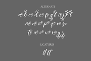 Nebula Script - A Modern Script, a Script Font by Universitype (Thumbnail 10 of 11)