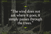 Pavilion Serif Typeface, a Serif Font by God Control (Thumbnail 9 of 12)