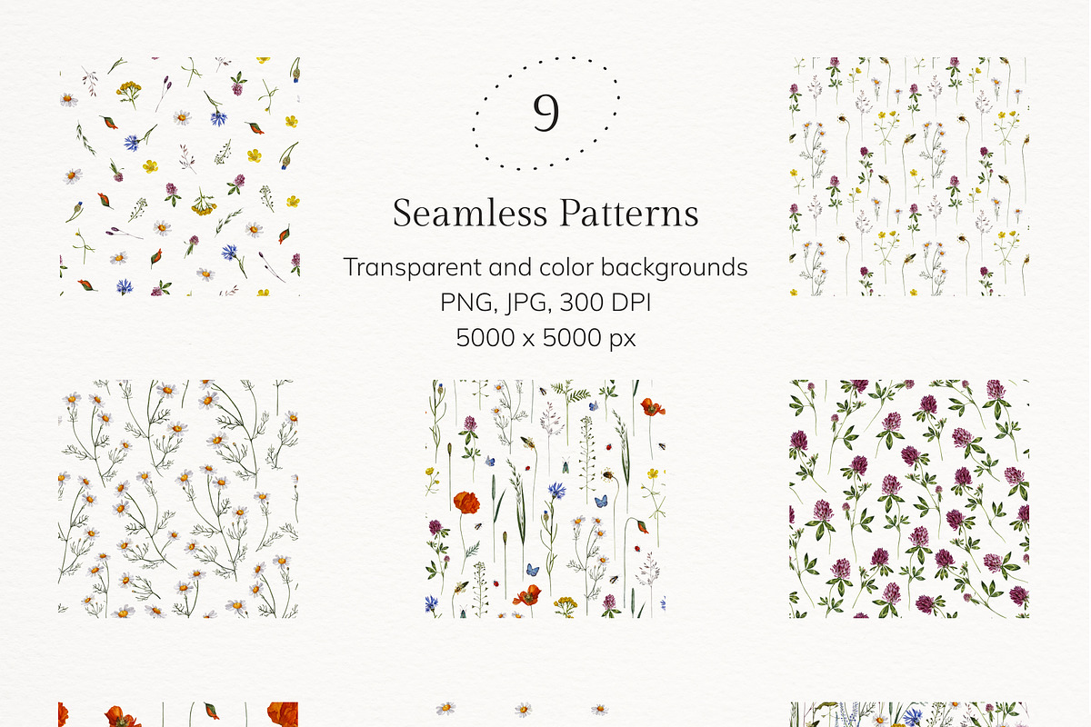 Meadow Botany. Watercolor Floral Set, a Healthcare Illustration by JulShuman (Photo 7 of 11)