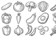 Vegetable Icon Collection, an Object Graphic by nikagraphic (Thumbnail 1 of 3)