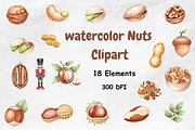 Watercolor Nuts Clipart, a Food Illustration by BerryPieArt (Thumbnail 1 of 4)