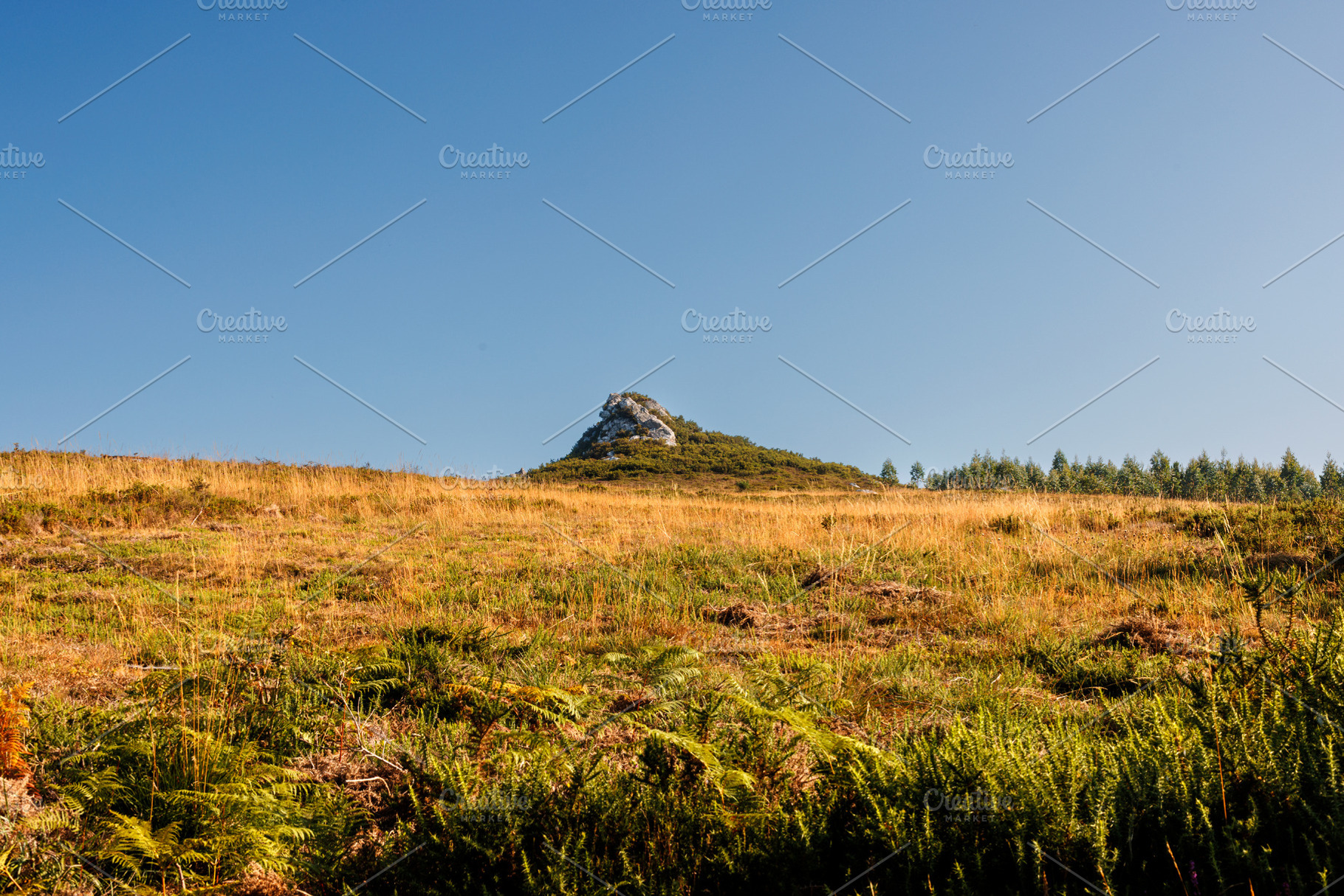 Golden Grass Field and Rocky Hillside, Camino Primitivo, Spain, a Photo by Bepslabor