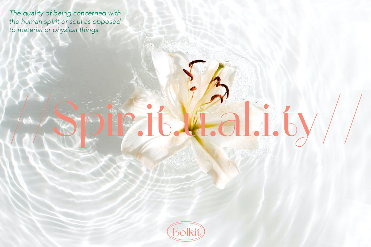 ZT Bolkit - Display Serif, a Serif Font by zelow type (Photo 3 of 15)