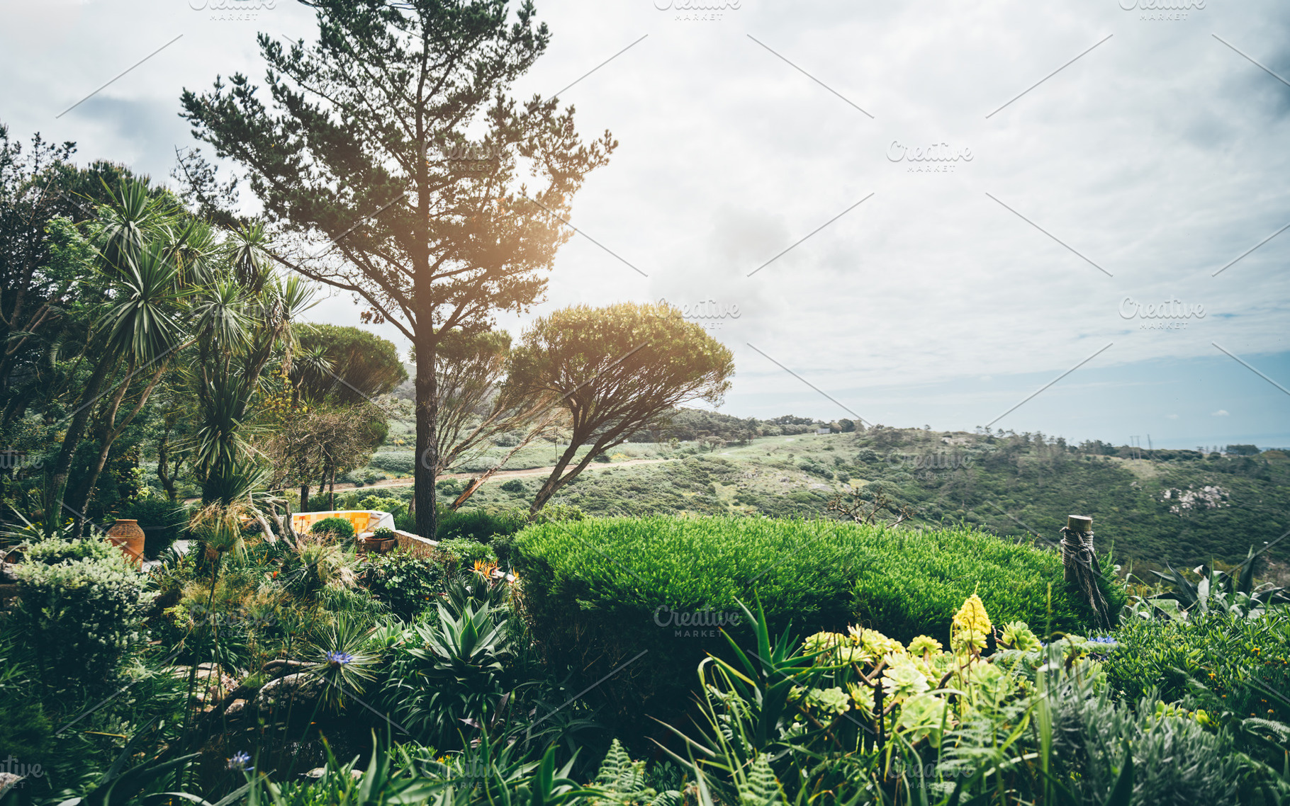 Garden view over sunlit valley, a Wallpaper Photo by SkyNext