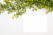 Modern Mockup, Clean Mockups, a Background Photo by BlueBooks (Thumbnail 10 of 14)