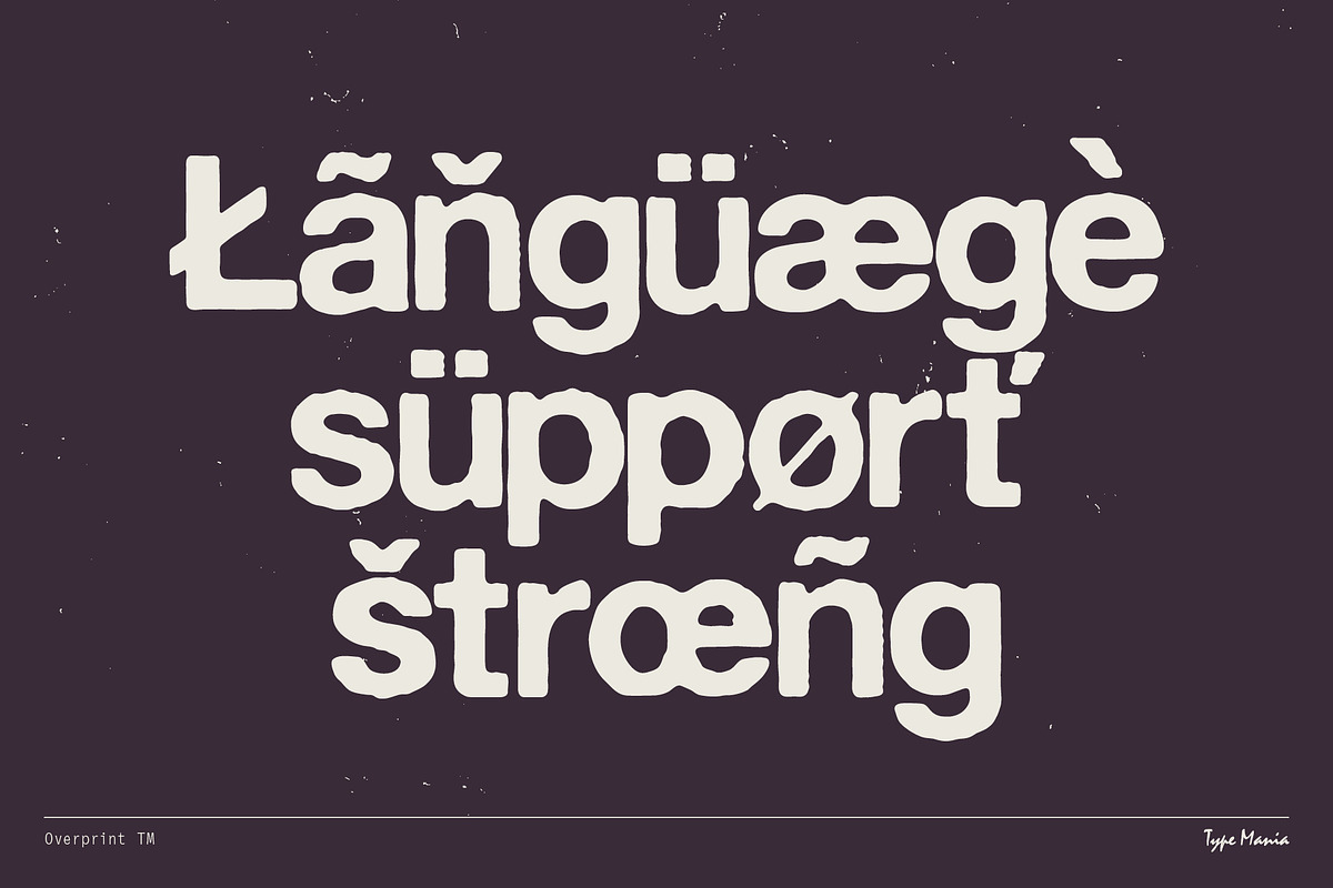 Overprint TM – Distressed Sans Serif, a Sans Serif Font by Type Mania (Photo 9 of 10)