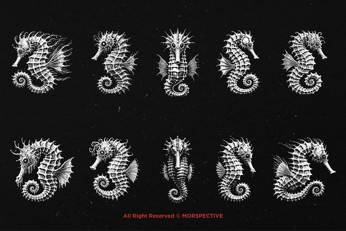 10 Bundle Dark Art Seahorse Sea, an Illustration by Morspective (Photo 6 of 7)