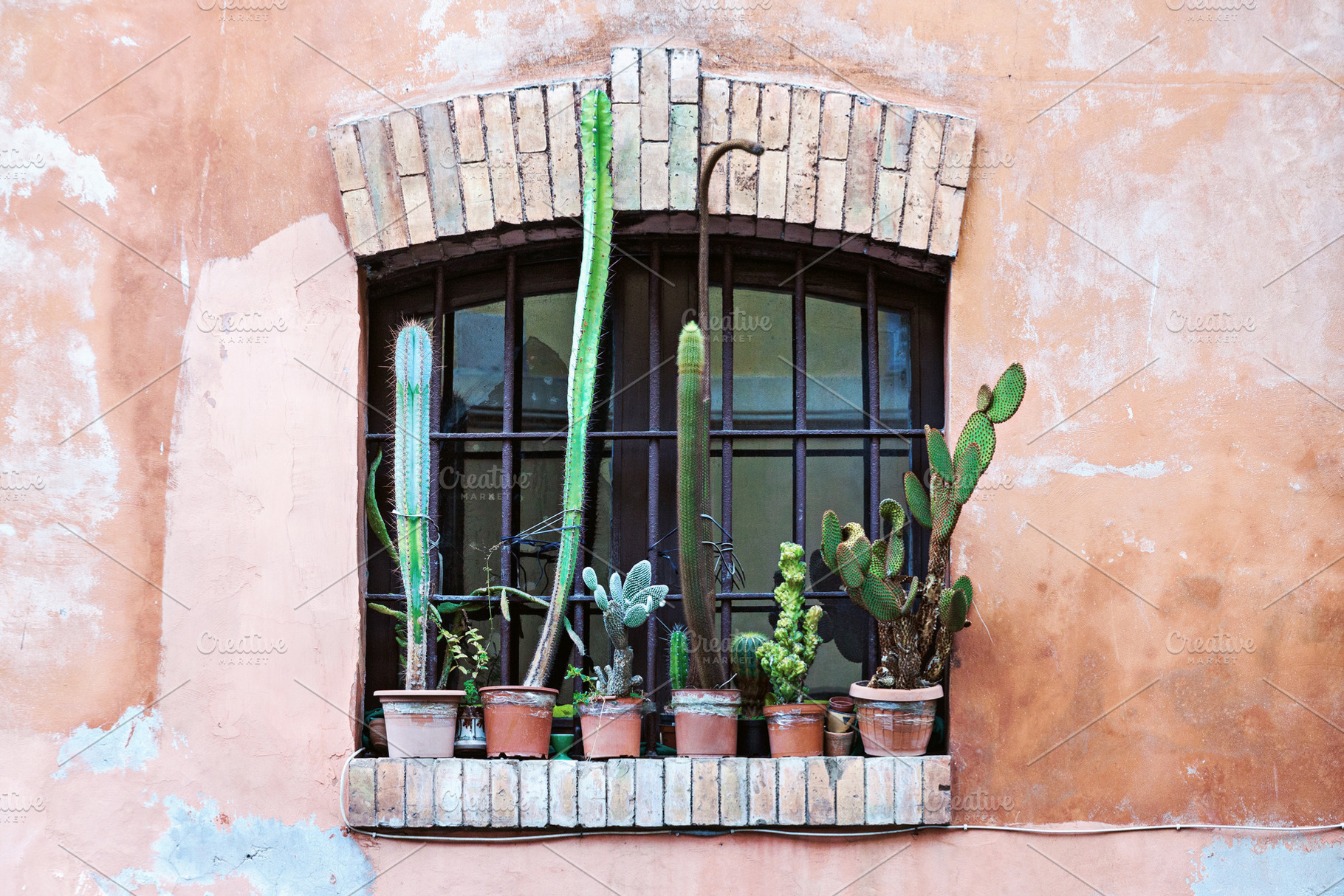 Old window with cactus flower pots, an Architecture Photo by BOOCYS