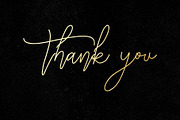 Charlotte Script, a Script Font by Chocotype Std (Thumbnail 10 of 10)