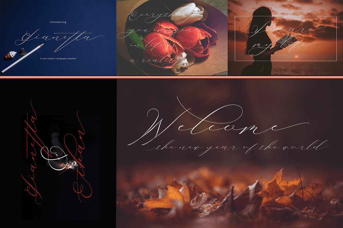 THE COLLECTION BUNDLE, a Script Font by danti (Photo 9 of 31)