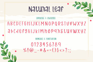 Natural Leaf Decorative Font