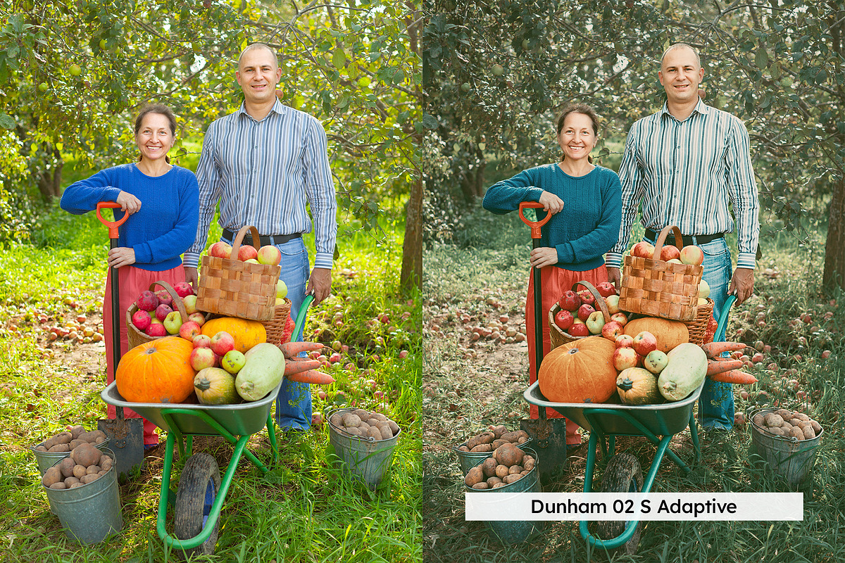 20 Cider Lightroom Presets and LUTs, a Preset Add-On by SparkleStock (Photo 8 of 13)