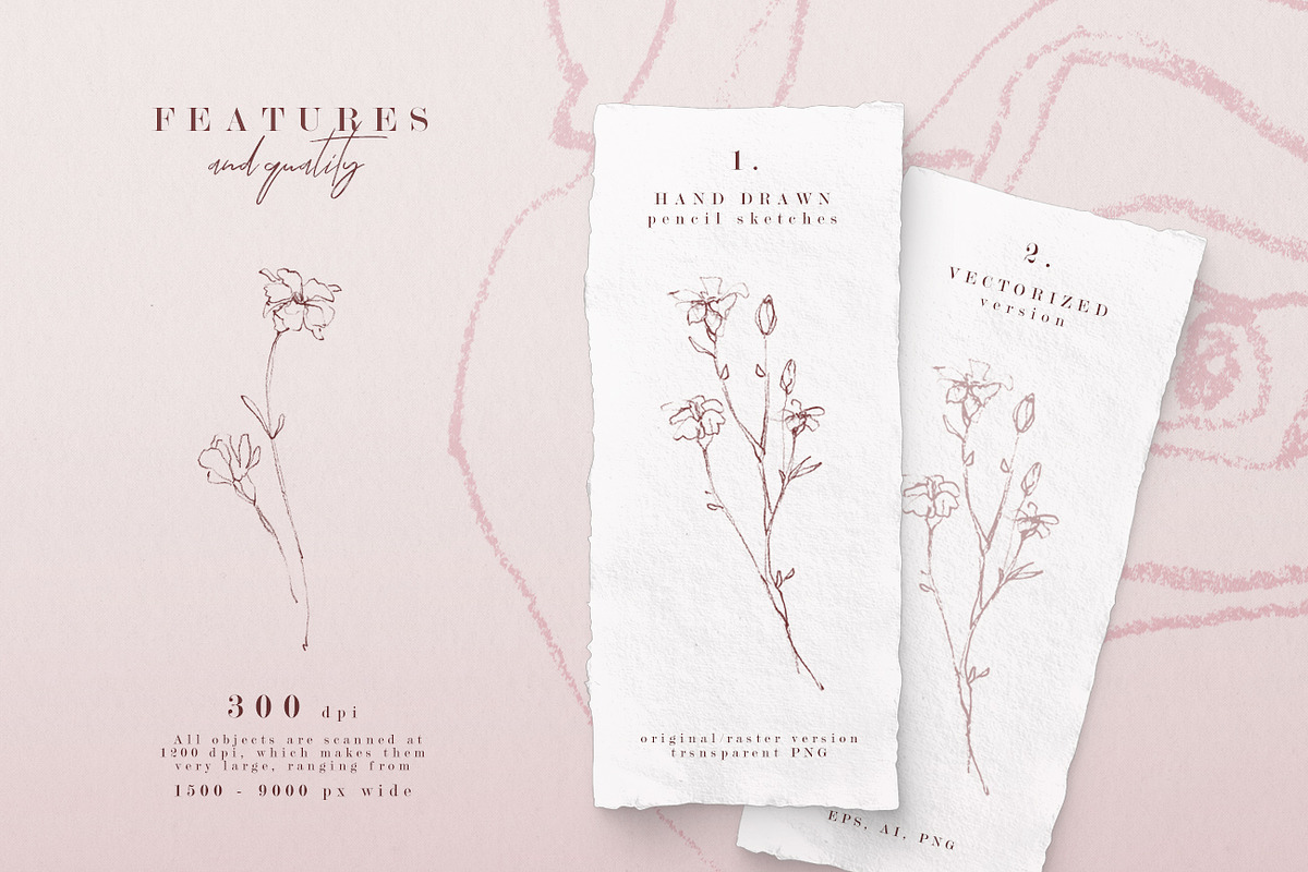 Delicate Roses - Hand Drawn Clipart, a Texture Illustration by Aquarellina (Photo 14 of 15)