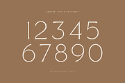 Reborn - Modern Chic Font, a Serif Font by Sensatype (Thumbnail 13 of 16)