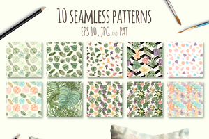 Palm Leaves Design Set