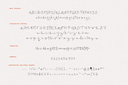 Delicate Ribbons // Quirky Script, a Handwritten Font by PeachCreme (Thumbnail 8 of 9)