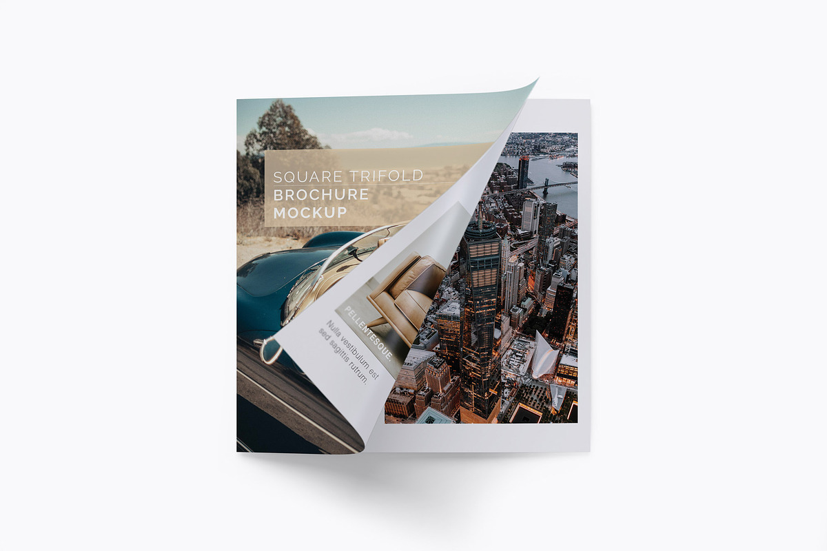 Square Trifold Brochure Mockups, a Print Template by Mockups by Carlos Viloria (Photo 19 of 23)