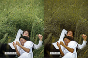 5 Warm LR Presets + Video Filters, a Preset Add-On by TheWayfarerShoppe (Thumbnail 12 of 17)