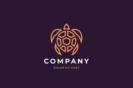 Turtle logo design.