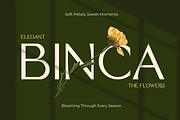 Biegva – Elegant Beauty Sans Serif, a Sans Serif Font by MaikoHatta (Thumbnail 2 of 8)