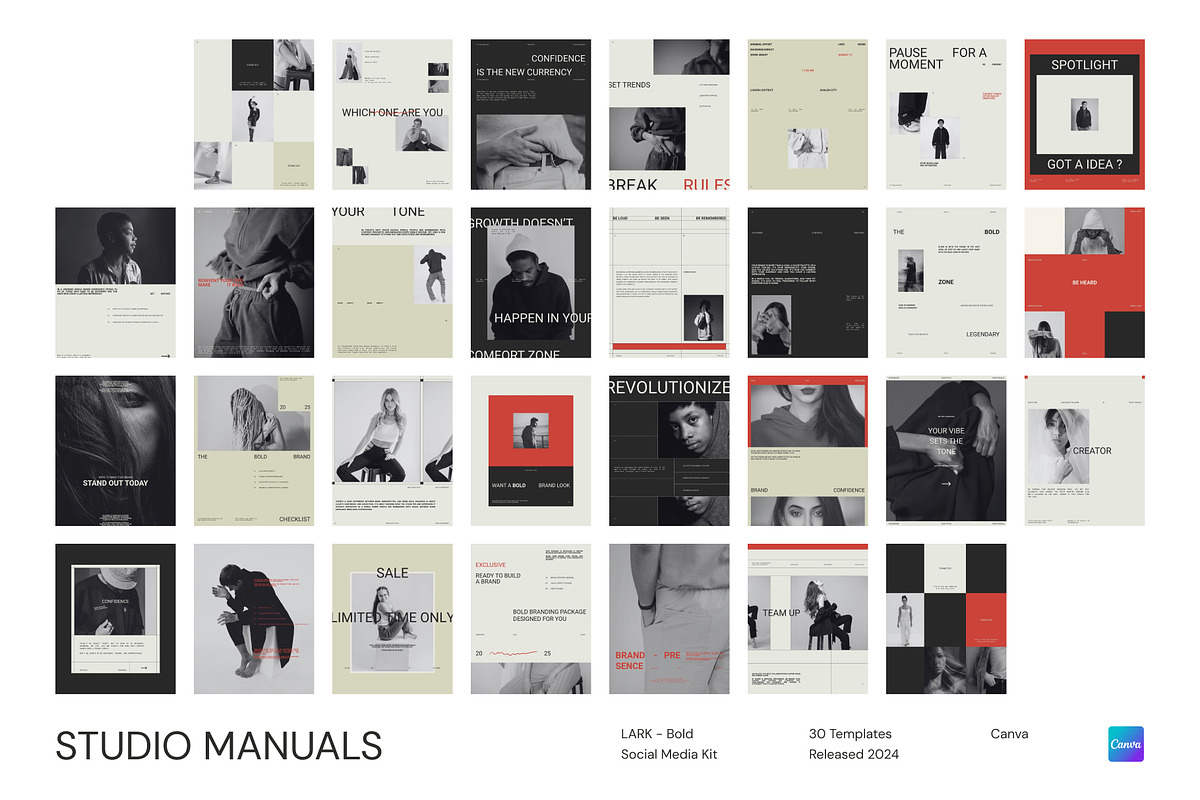 LARK - Bold Social Media Kit, a Social Media Template by Studio Manuals (Photo 8 of 8)