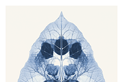 Role Co. Cyanotype Leaf in Symmetry, a Texture Illustration by milatovar (Thumbnail 7 of 21)