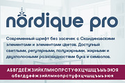 Nordique Pro Cyrillic Bold, a Sans Serif Font by Leksen Design (Thumbnail 1 of 3)