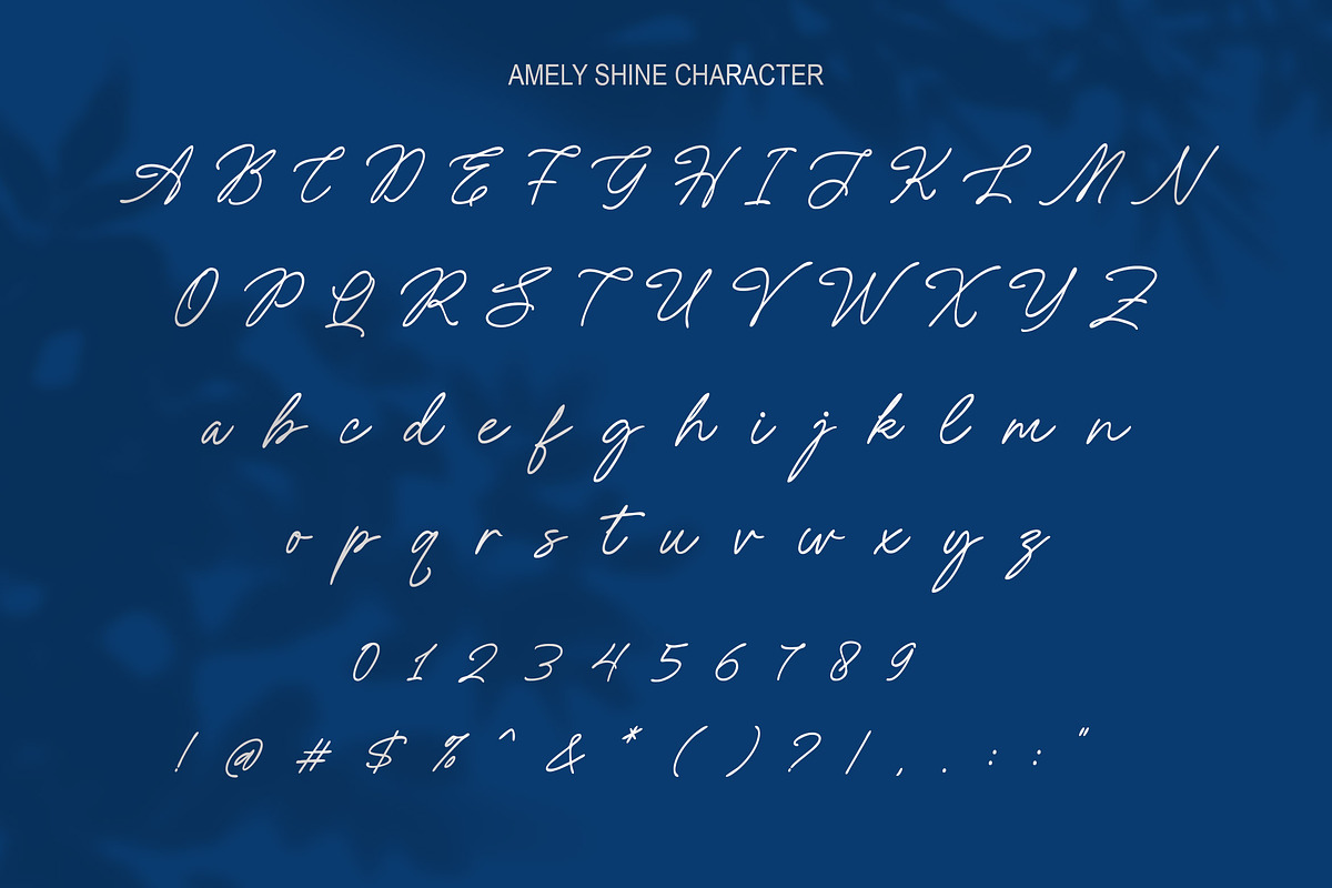 Amely Shine - Beautiful Script Font, a Font by Salamahtype (Photo 6 of 8)