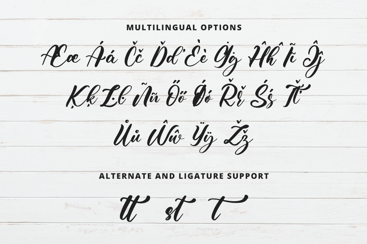 Shutter Times Font, a Script Font by Fatmawati (Photo 11 of 12)