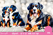 watercolor bernese mountain clipart, an Animal Illustration by TanuschArts (Thumbnail 3 of 4)