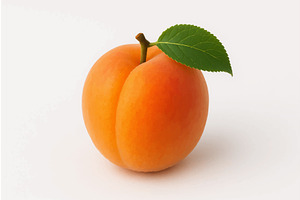 Single ripe apricot on white, a Food Illustration by AlexArt