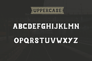 Artameva Vintage Font, a Serif Font by zerologicstudio (Thumbnail 4 of 6)