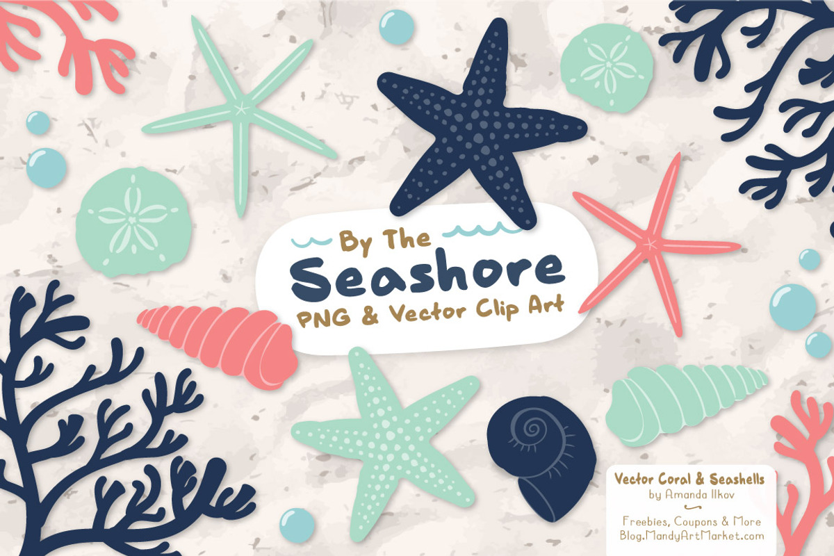 Modern Chic Vector Seashells, an Illustration by Amanda Ilkov (Photo 1 of 5)
