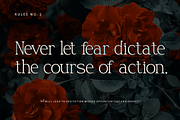 Rohelise - Modern Classic Serif, a Serif Font by Vadovastd (Thumbnail 4 of 8)