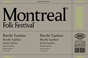 Pavilion Serif Typeface, a Serif Font by God Control (Thumbnail 2 of 12)