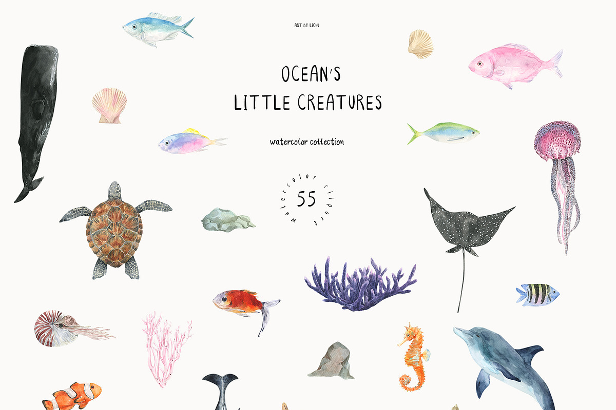 Ocean's Little Creatures, an Animal Illustration by LiChu Art (Photo 5 of 12)