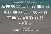 New Year, a Script Font by InermediaSTUDIO (Thumbnail 8 of 8)