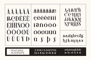 Megi Shevia Modern Serif Font, a Serif Font by Graphicxell (Thumbnail 4 of 9)