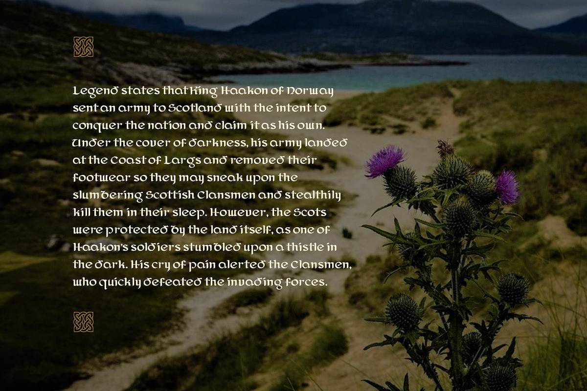 Caledonian, a Font by Loudoun Design Co. (Photo 6 of 6)
