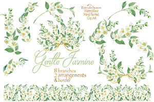 Gentle Jasmine Branch