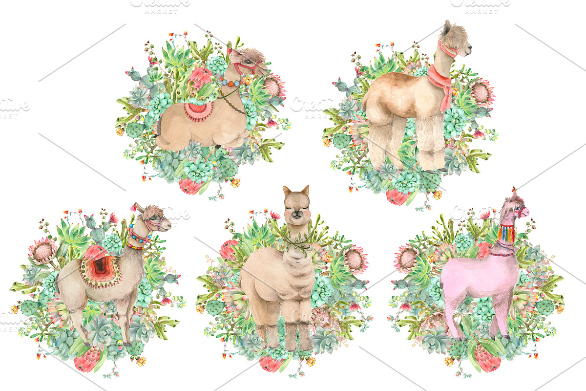 Lama in cactus collection, an Animal Illustration by IvanFet (Photo 4 of 5)
