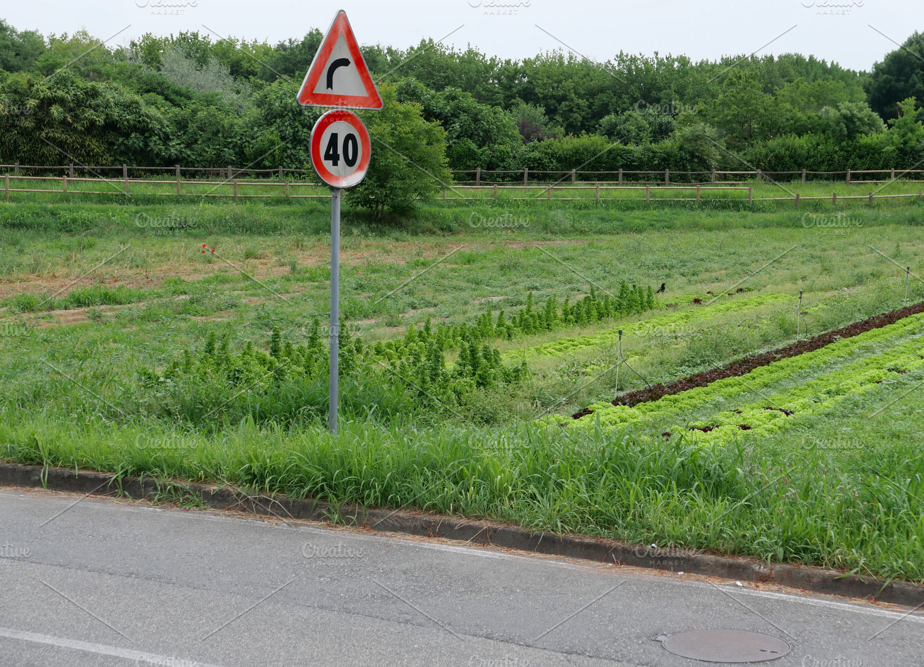 bend to right and speed limit sign, a Photo by WorldOfPhotos