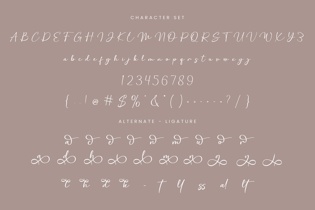 Modern Winsley – Signature Script, a Script Font by Imiftype Studio (Photo 5 of 10)