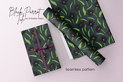 Black Parrot Tulip flower Vector, a Seasonal Illustration by Universe Mary (Thumbnail 6 of 7)