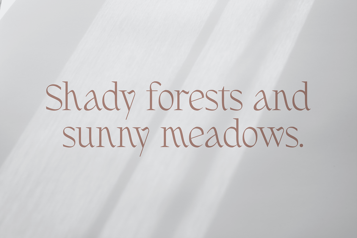 Fernhead Decorative Serif Font, a Serif Font by Headfonts (Photo 5 of 11)