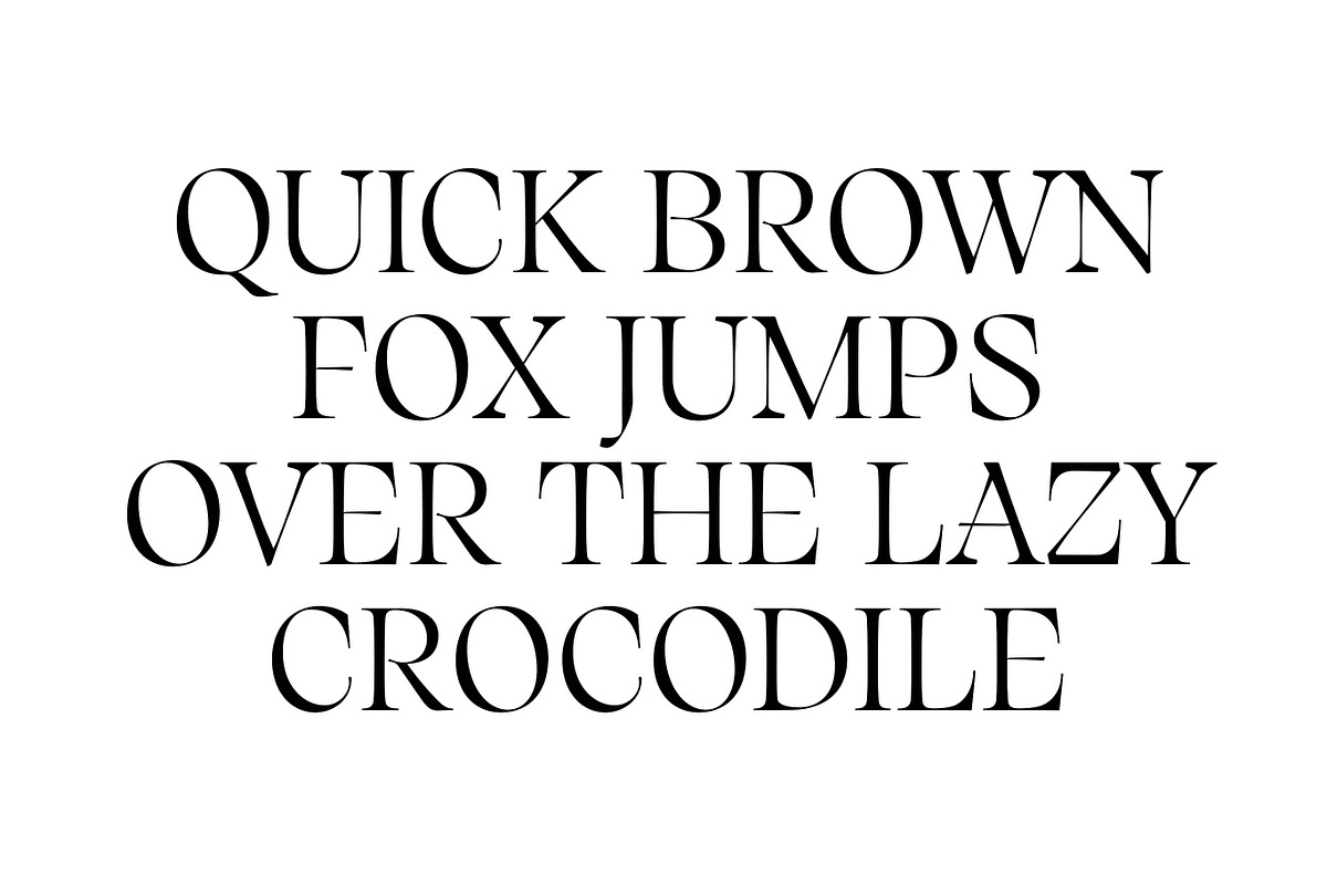 Silene - Elegant Serif Typeface, a Serif Font by Piotr Łapa (Photo 5 of 12)
