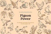 Pigeon vector illustrations, an Illustration by Hey Masha (Thumbnail 1 of 9)
