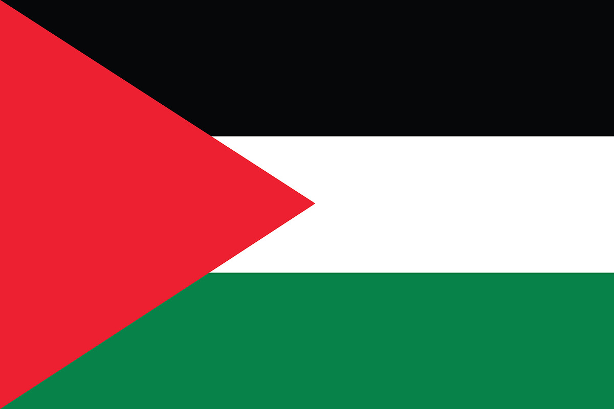 Vector of Palestinian flag., an Icon by MorningStar