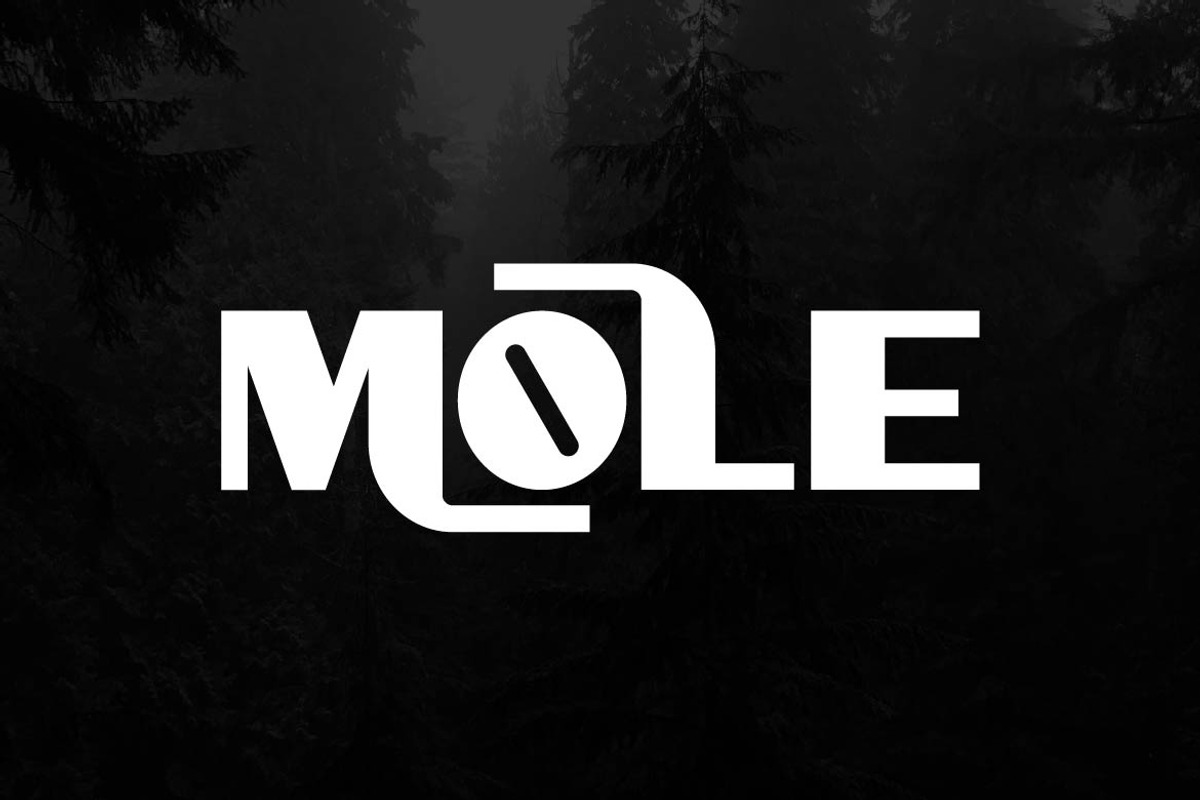 Montora – Bold Display Font, a Sans Serif Font by Artiveko (Photo 5 of 8)